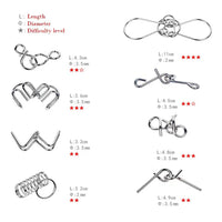 Montessori Metal Puzzle™